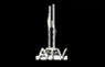Amhara TV logo