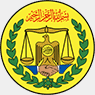 Somaliland National Television — SLNTV logo