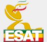News Horn TV (ESAT) logo
